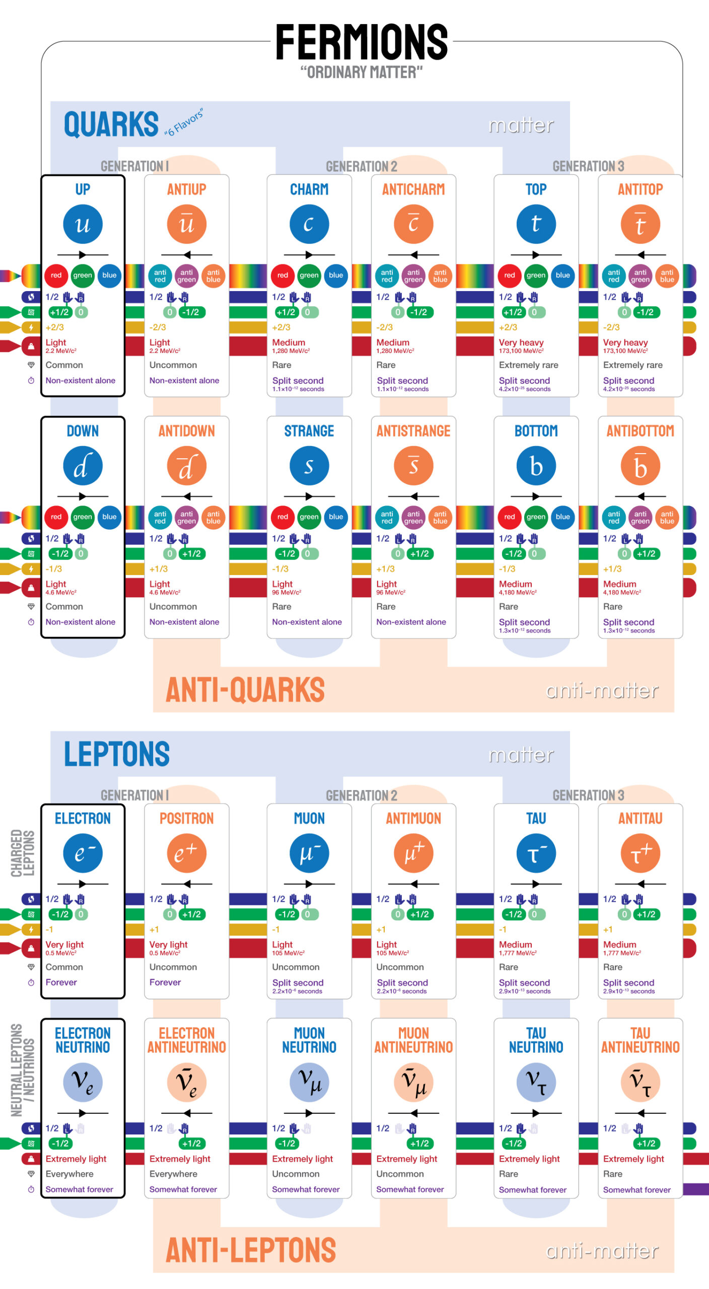 Standard-Model-Poster-50-by-Riley-Adamson-Fermions