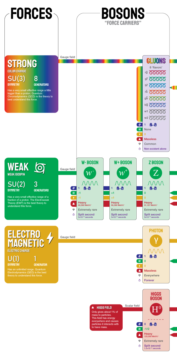 Standard-Model-Poster-50-by-Riley-Adamson-Forces-and-Bosons